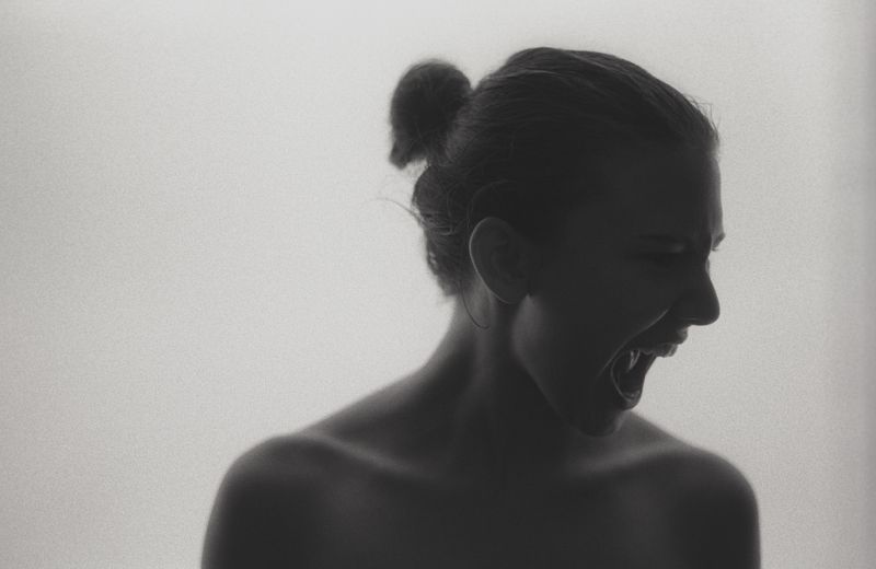 The snakephoto preview