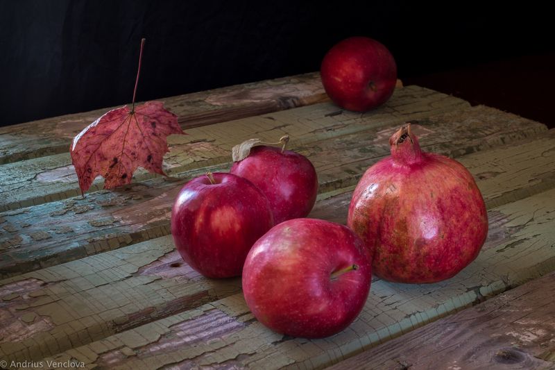 Autumn Giftsphoto preview