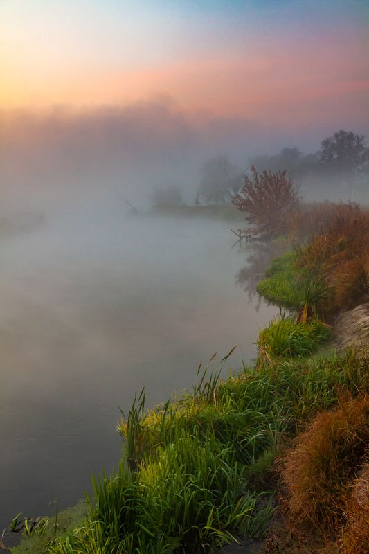 Туманное утроphoto preview