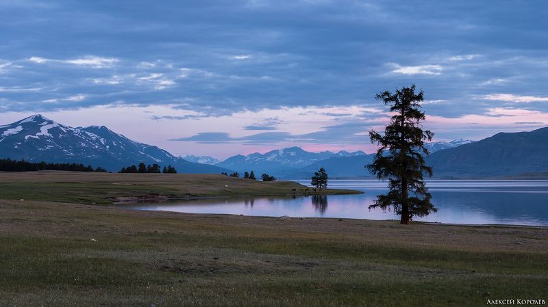 монголия, горы, алтай, рассвет, озеро, дерево, природа, пейзаж, лето, mongolia, mountains, altai, dawn, lake, tree, nature, landscape, summer Озеро Хотон-Нуурphoto preview