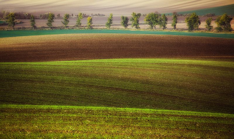 Moraviaphoto preview