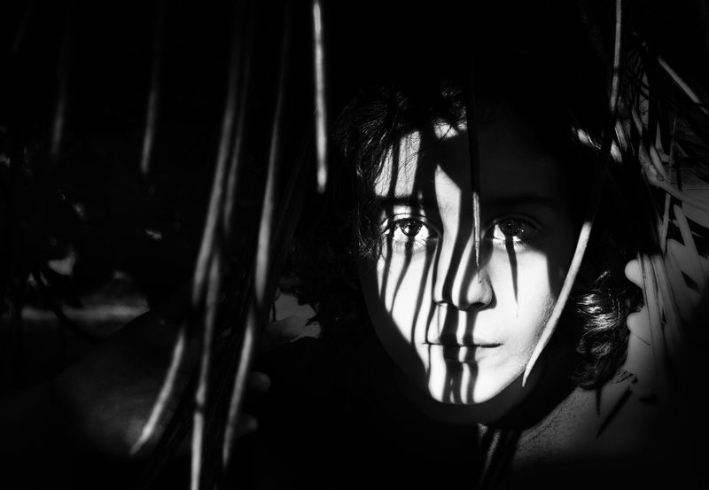shadows, , boy, b&w In the Shadowsphoto preview