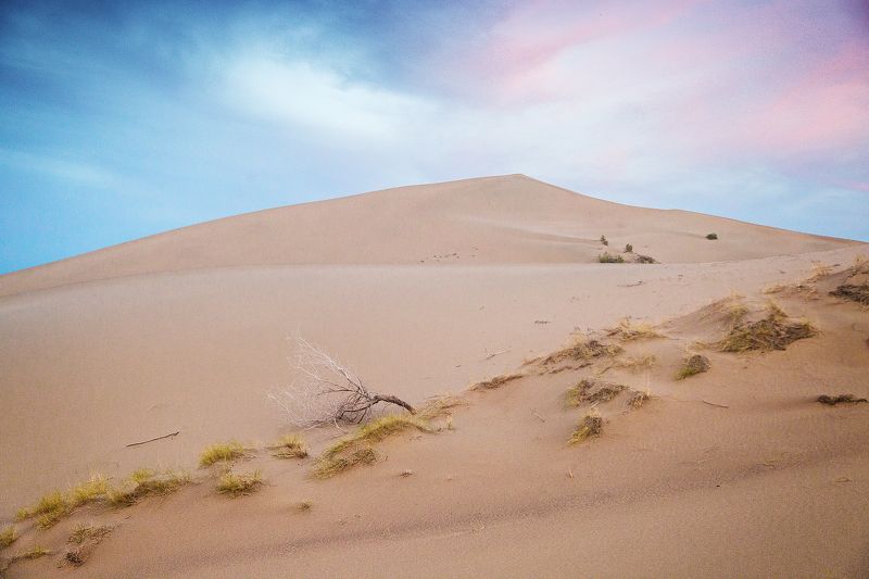 Canon Закатный барханphoto preview
