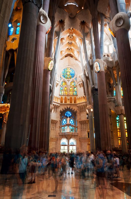 Вечная красотаphoto preview