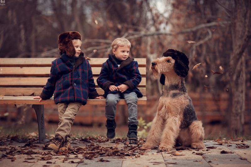 Электроникиphoto preview