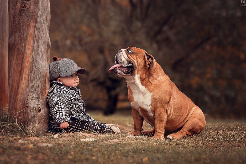 Маленькие Шерлокиphoto preview
