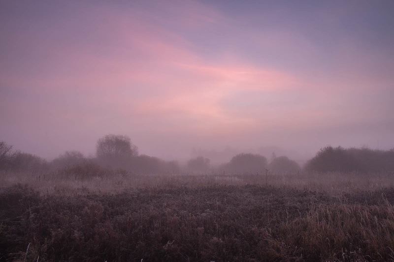 Туман и рассветphoto preview