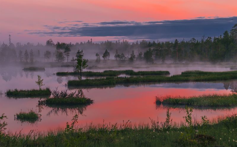 природа, пейзаж, карелия, панорама, утро, восход, рассвет, болото, туман, остров, *photo preview