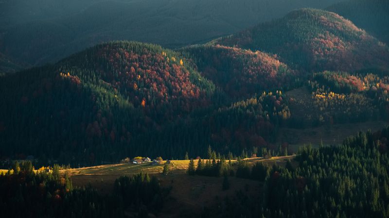 landscape, mountain, dark, valley, forest, sunset, nature, big, spot, light, Carpathian, panorama, summer, beautiful, breathtaking, hill, dusk, morning, sunrise, green, grass, dale, fir, tree, sky, cloud, evening, sunshine, beauty, wallpaper, background,  Dark shadow mountain landscape with light valley at sunsetphoto preview
