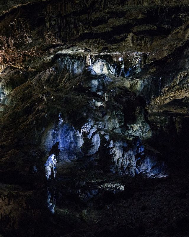 там где живут гномыphoto preview