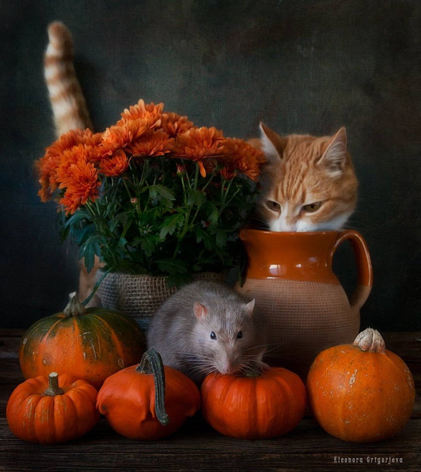 , Eleonora Grigorjeva