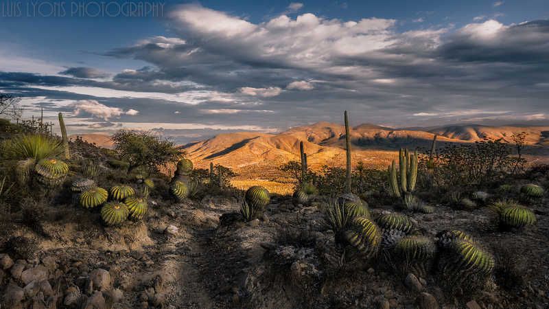 A Glimpse of Sierra Mixtecaphoto preview