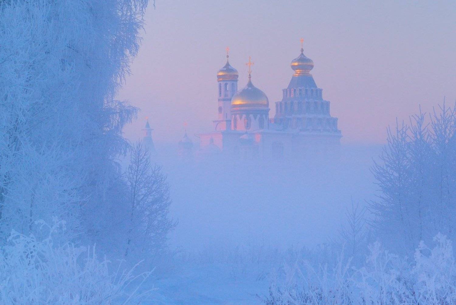Под покровом снежным.. Автор: Романский Владимир (NikonZoom) , Романский Владимир (NikonZoom)