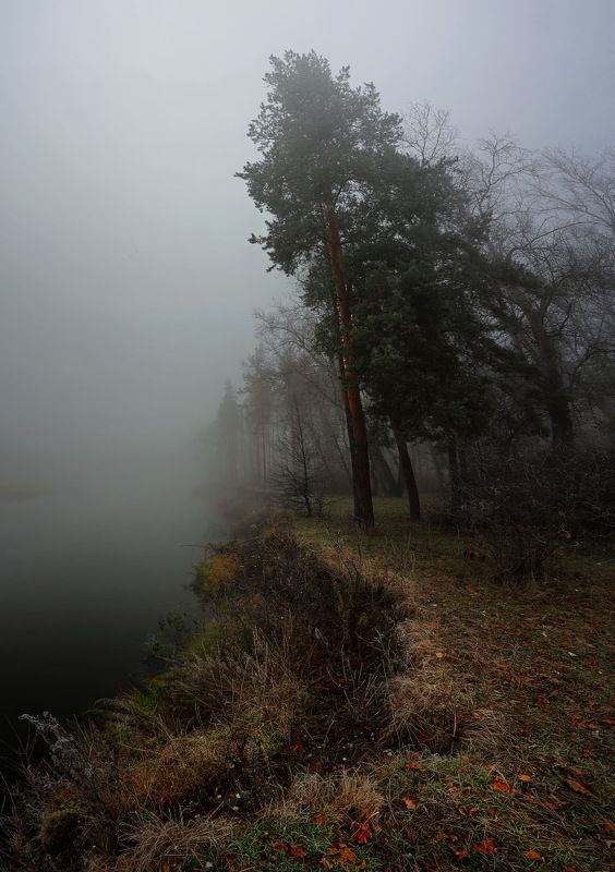 осень утро туман река ноябрь ***photo preview