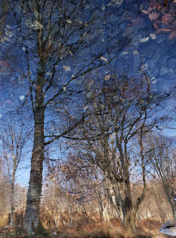 Осеньphoto preview