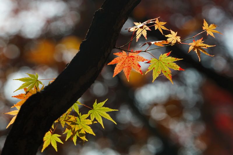 time, goes..... Zen Phto 1photo preview