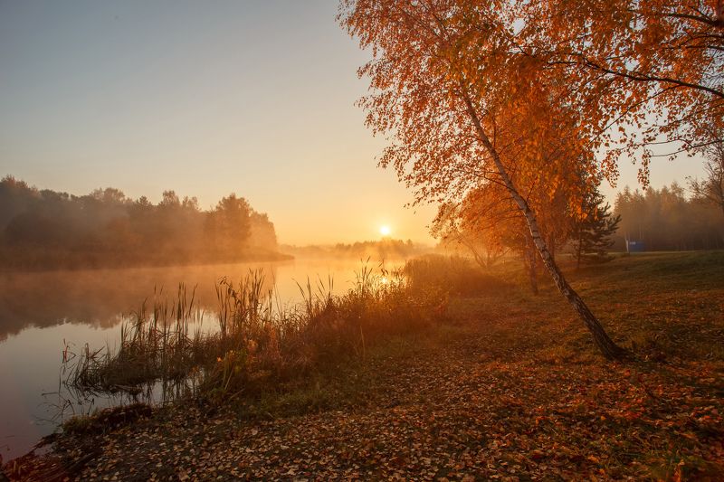 утро, рассвет, лучи, криница, туман, лес, озеро, минск, беларусь С первыми лучами солнцаphoto preview