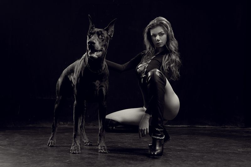 portrait, 35mm, girl, beauty, retouch, posing, model, studio, photography, fitness, lingerie, sexy, sigma, sony, a7iii, a7m3, art, light, hair, bazarov, glamour, fashionable, elegant, fashion, style, pretty, doberman, awesome, dog Doberman projectphoto preview