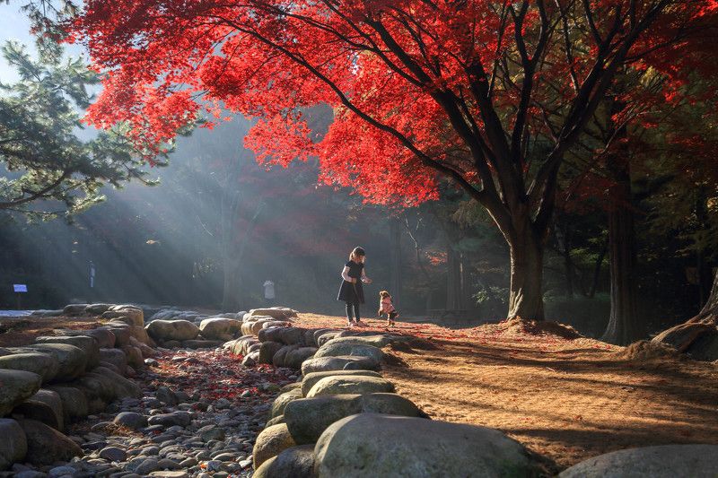 Incheon  Grand Park, South Koreaphoto preview