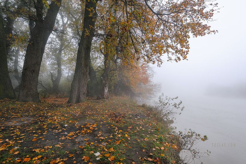 кубань, ноябрь, кубанские туманы, таманский полуостров, темрюк Кубанское ноябрьское 2018photo preview