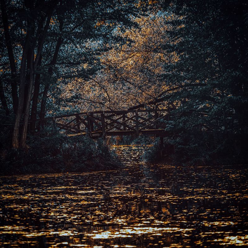 Golden Brownphoto preview