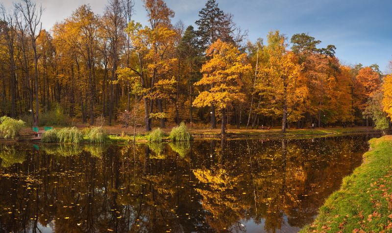 Осенний паркphoto preview