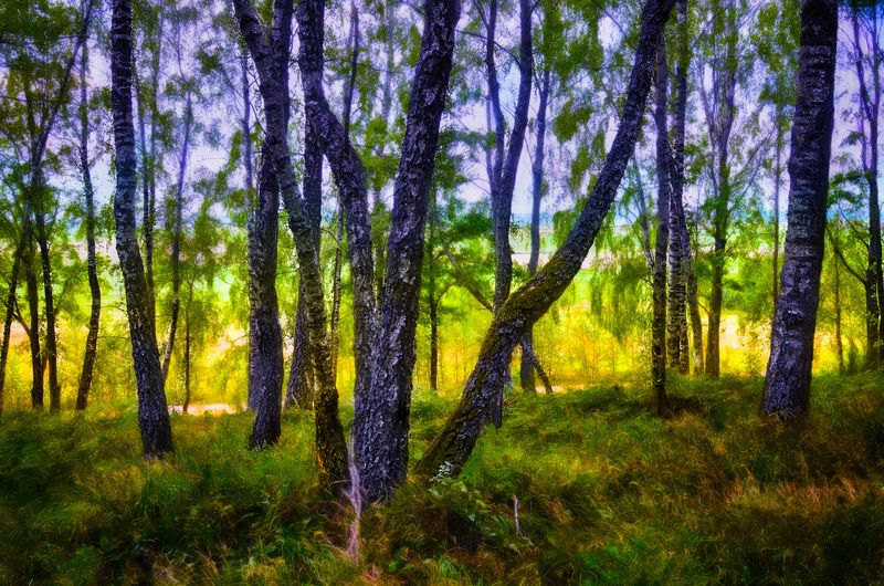 закат закатphoto preview