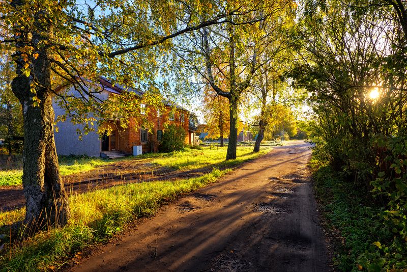 утро,осень,октябрь,краски,свет,тени,дорога,дом,деревья,пейзаж Рисует утро красками октябрь фото превью