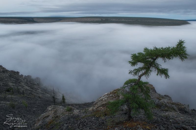 якутия, оленёк Одинокоеphoto preview