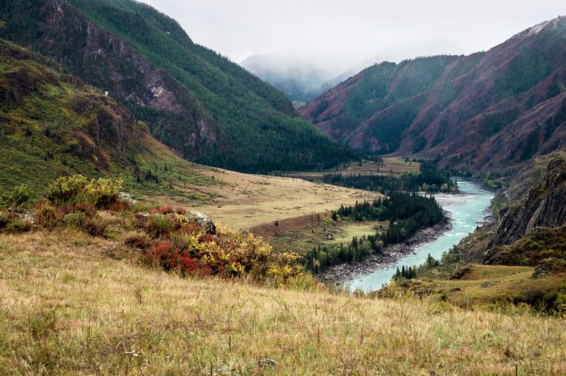 природа  алтай   горы пейзаж путешествие осень  инегень река катунь В окрестностях Инегеня...photo preview