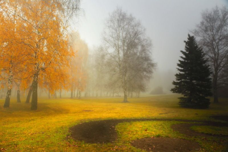 Раніцаphoto preview