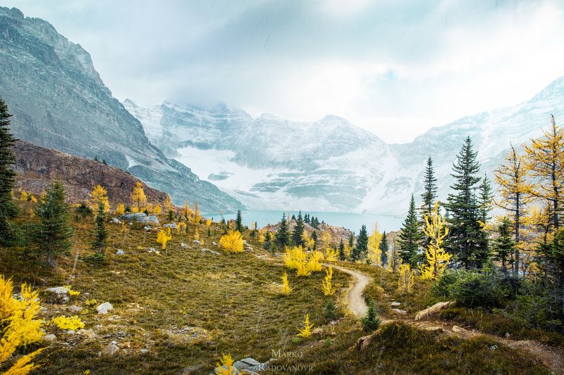 лиственница, канада, осень, снег, холод, золотой, деревья, пейзаж, природа, британская колумбия, альпийский, горы, озеро, #canada #britishcolumbia #bc #yoho #yohonationalpark #larchseason #amazingnature #explorecanada #canadainpictures #autumncolors #autu Trail and lakephoto preview