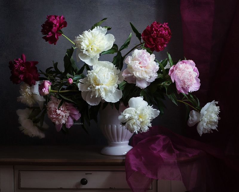 натюрморт, фотонатюрморт, цветы, пионы, свет, тень, лето, алина ланкина ***photo preview