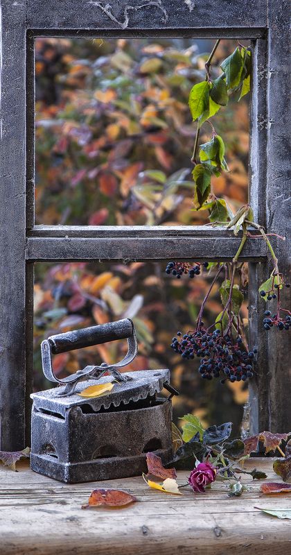 Первые заморозкиphoto preview