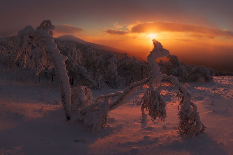 Уральское предзимьеphoto preview