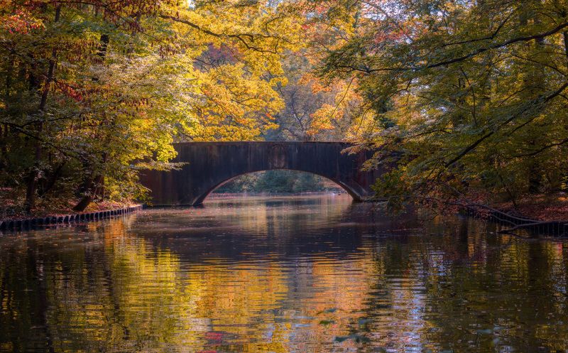 осень photo preview