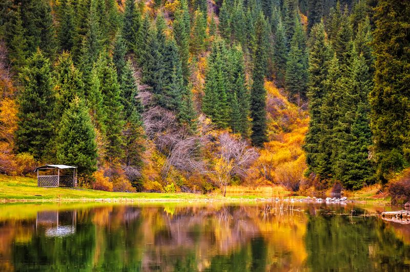 пейзаж,  природа, горы, облака, солнце, закат, лучи солнца, казахстан, величие, поле,  фотограф, алматы, фотограф алматы, landscape, the sun, nature, the mountains, awesome, amazing, kazakhstan, almaty, photographer,  sunset, beauty,  Осеньphoto preview