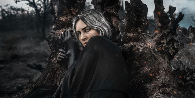 dark trees sparkles grey Mostly darkphoto preview