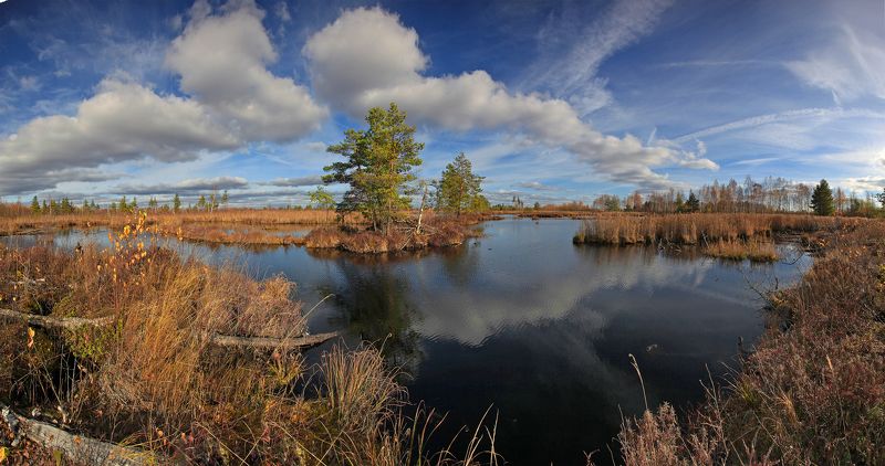 Шатура. Шатурские болота.photo preview