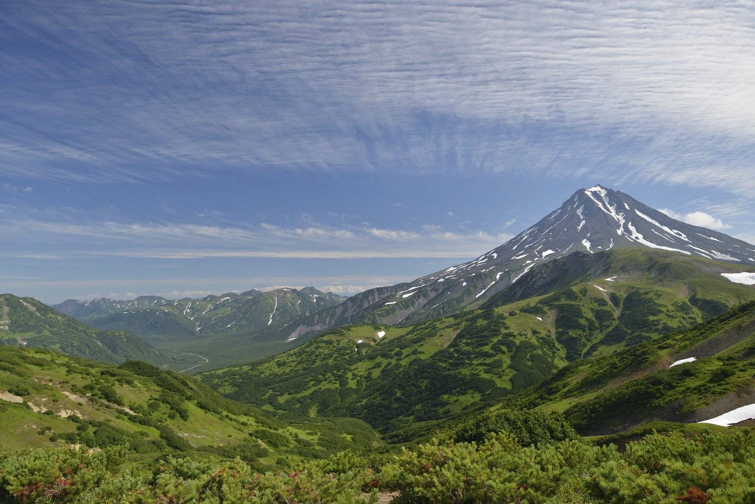 , Vladimir Gorbachev