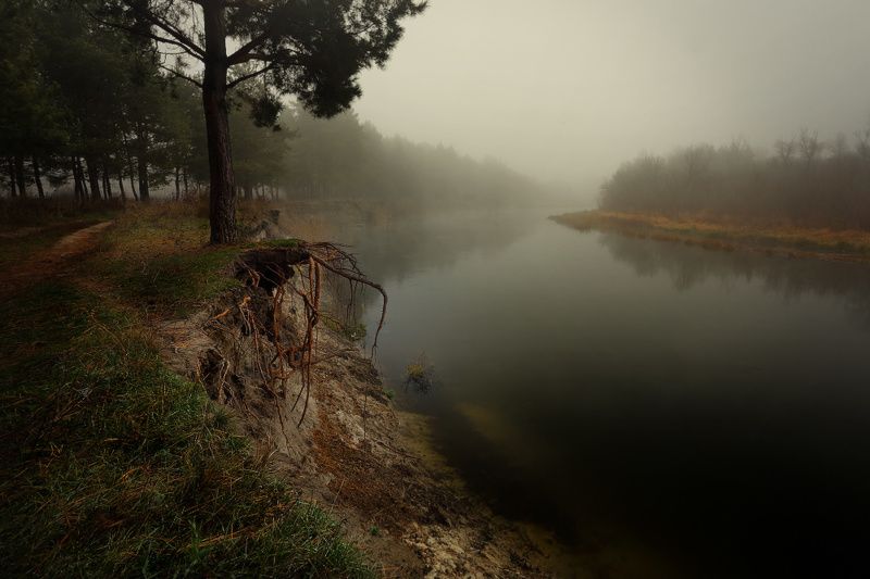 осень, туман, утро, река, ноябрь Уже знакомый, тёмный туман.photo preview