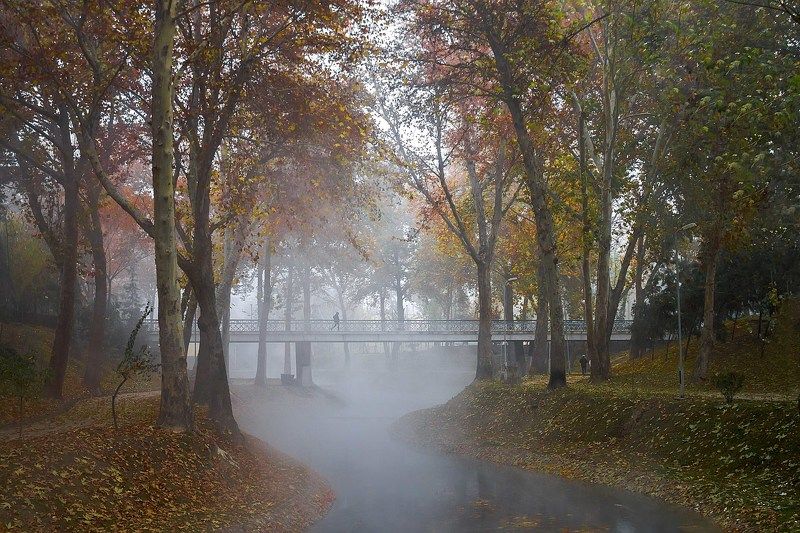 Туманное утроphoto preview