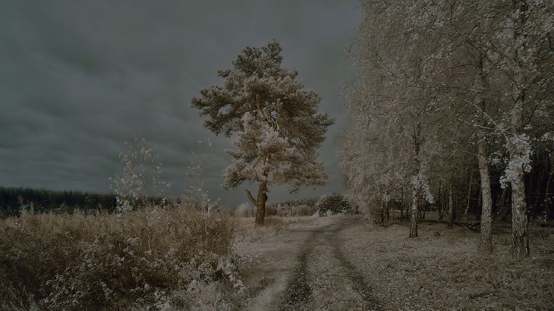 инфракрасный Бузовая. Озероphoto preview