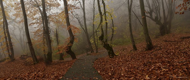 Тропинка в осеньphoto preview