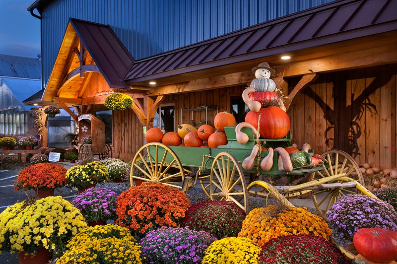 Autumn at the Farmphoto preview