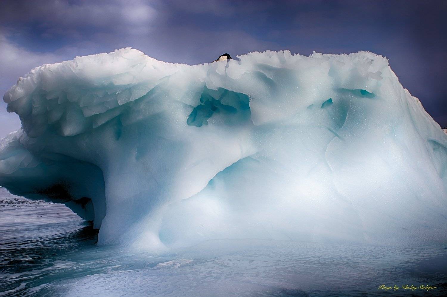Антарктида 13. Автор: Николай Шелепов , Николай Шелепов