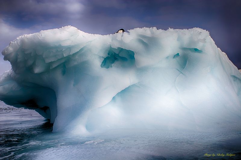 Антарктида 13 фото превью