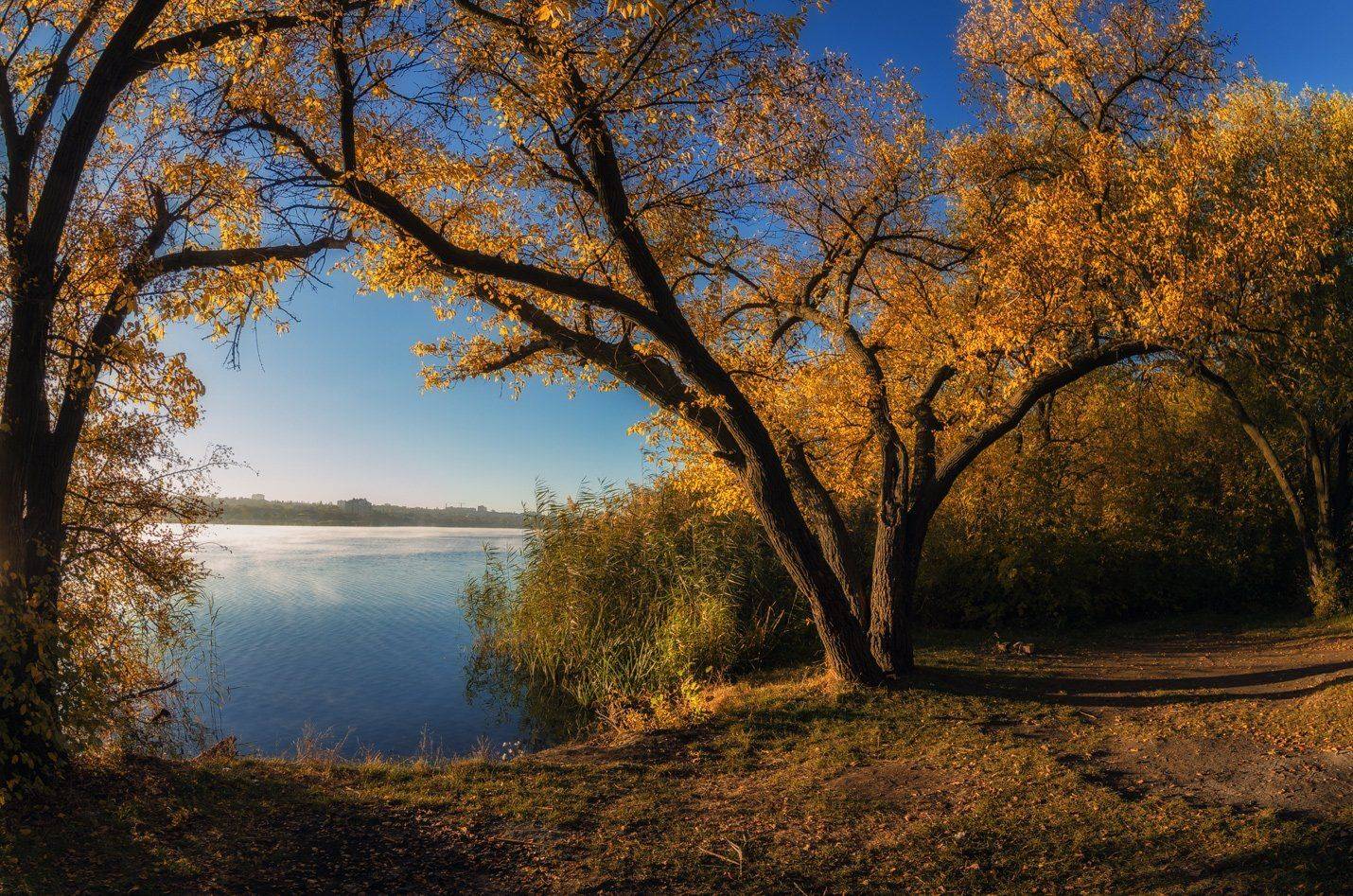 , Игорь Мелекесцев