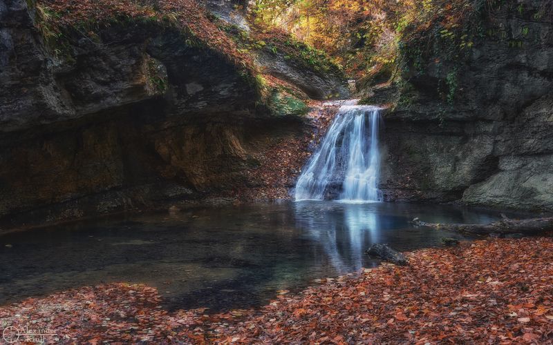 На ноябрьском Мишоко...photo preview