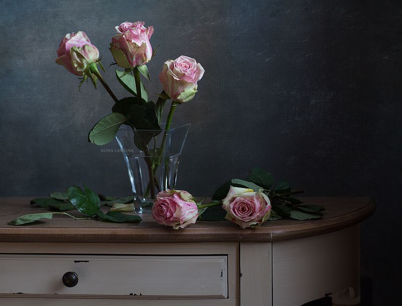 натюрморт, фотонатюрморт, цветы, розы, свет ***photo preview